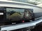 2027 Kia Carnival LXS